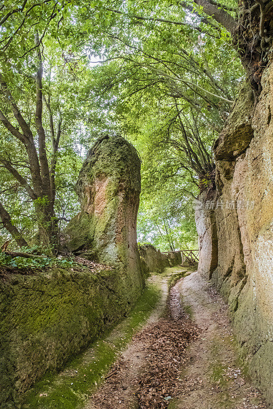 皮蒂利亚诺托斯卡纳的Vie Cave